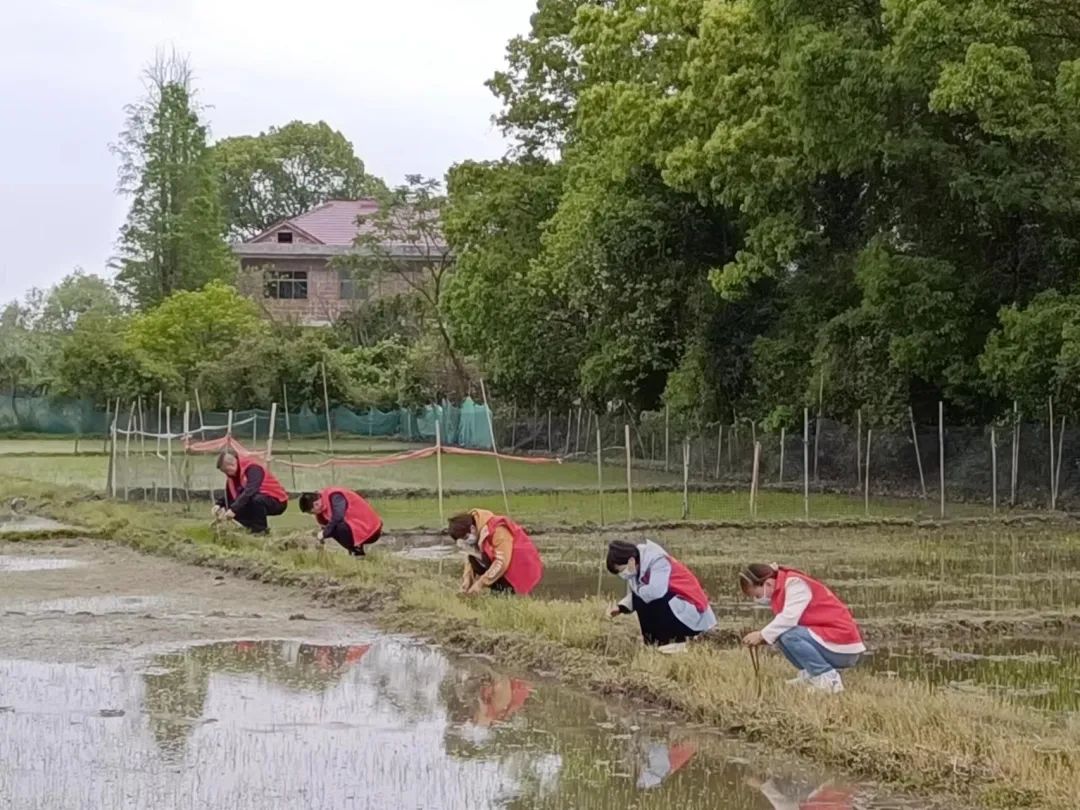 微信图片_20220429180512.jpg 微信图片_20220429180512.jpg