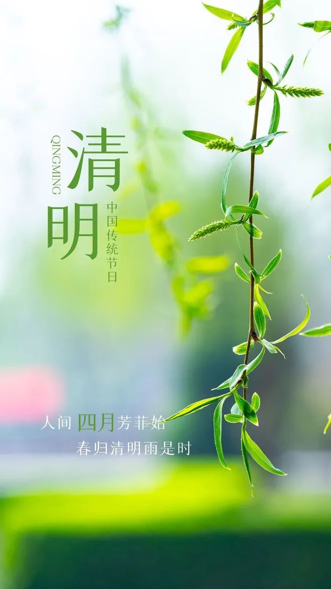 今日清明 |人间四月芳菲始 春归清明雨是时