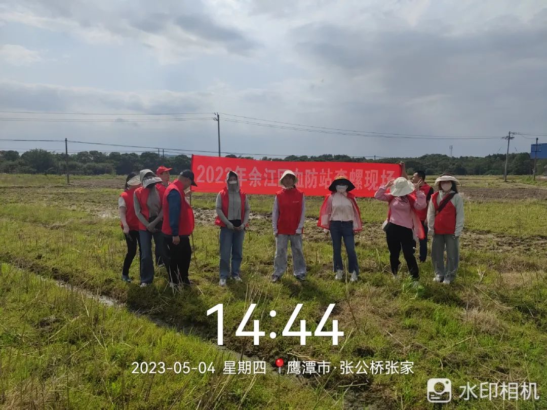 余江区血防站有序推进查螺工作，护卫群众身体健康