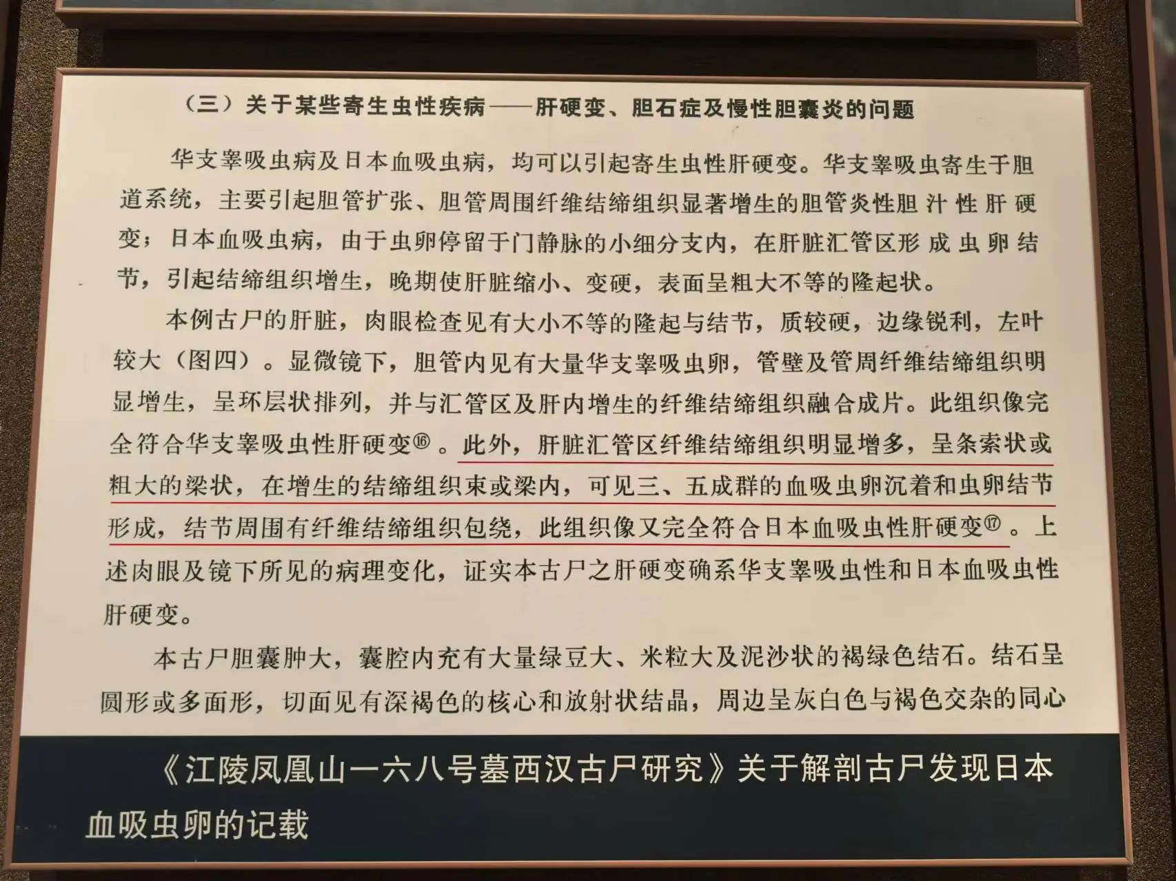 10.jpg 10.jpg