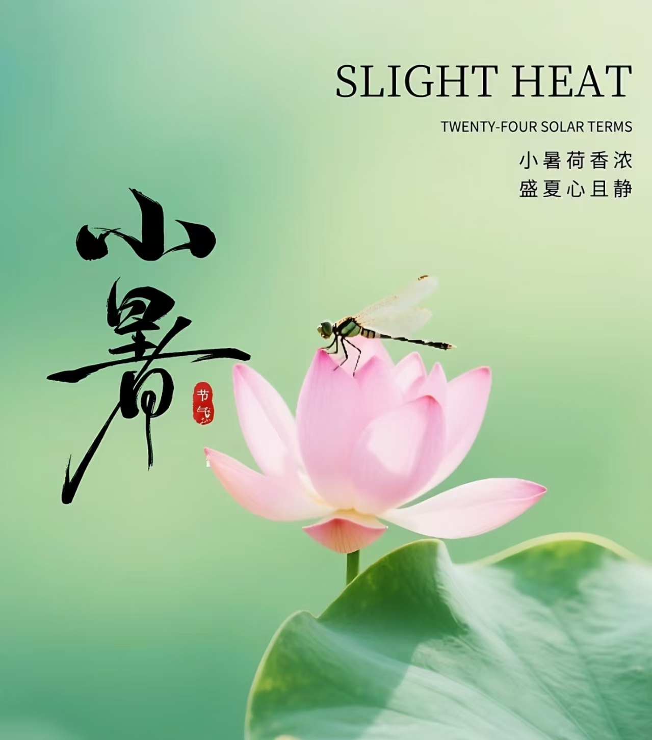 二十四节气 | 小暑：悄然小暑至，悠悠盛夏始